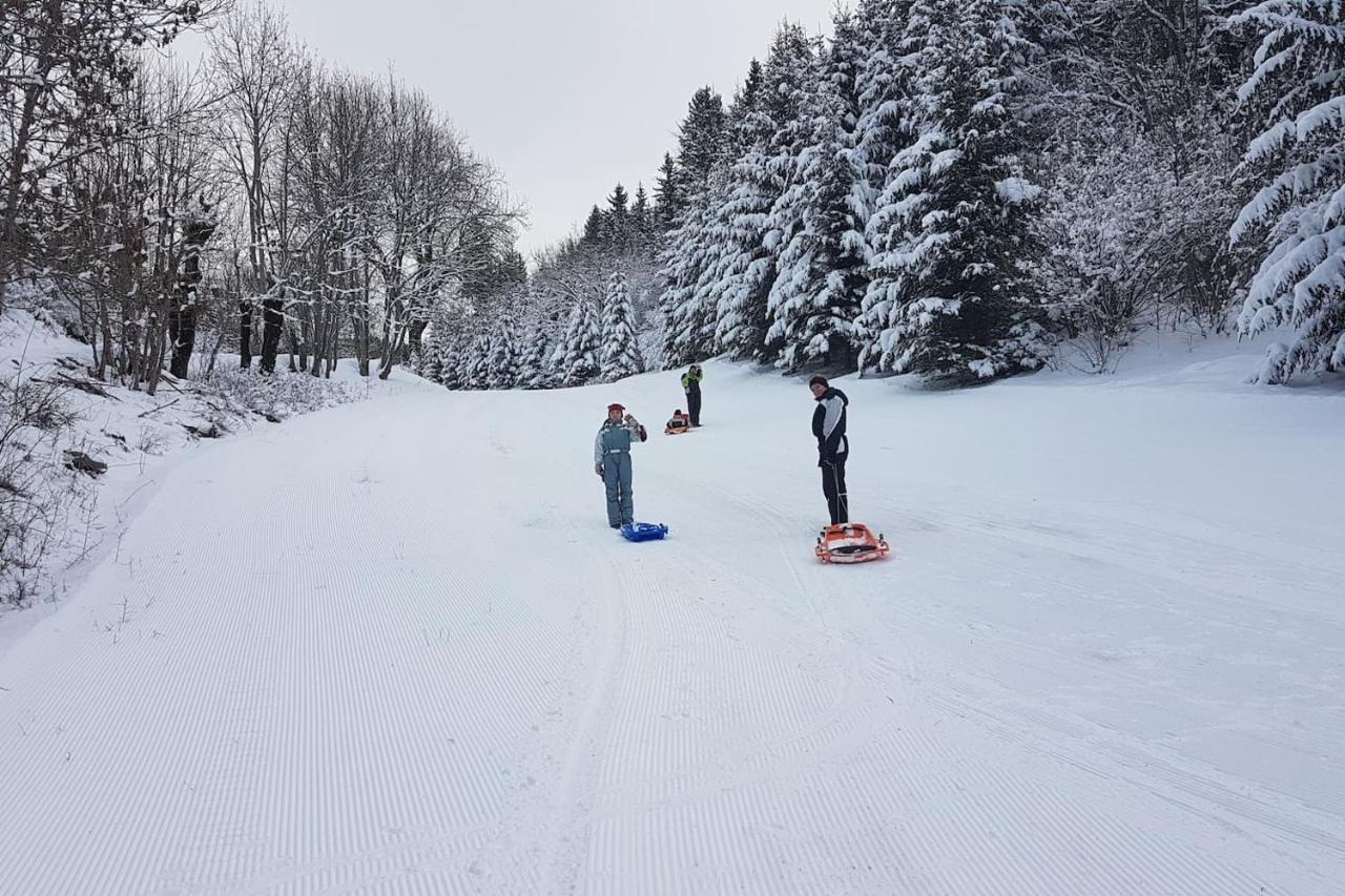Studio Chaleureux Aux Pieds Des Pistes De Ski Des Glovettes วียาร์-เดอ-ล็อง ภายนอก รูปภาพ