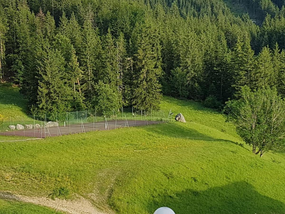 Studio Chaleureux Aux Pieds Des Pistes De Ski Des Glovettes วียาร์-เดอ-ล็อง ภายนอก รูปภาพ